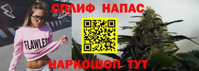 apvp Беслан