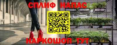 прущие крисы Долгопрудный